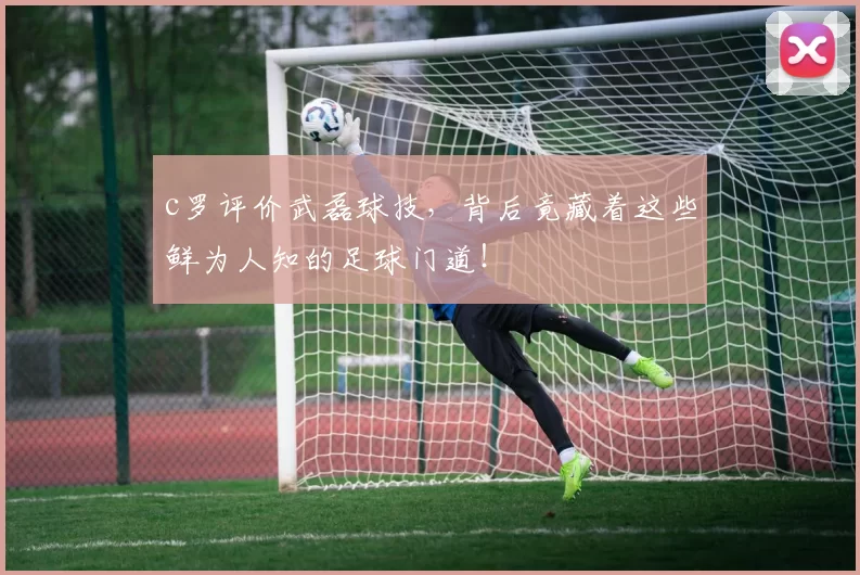 c罗评价武磊球技，背后竟藏着这些鲜为人知的足球门道！