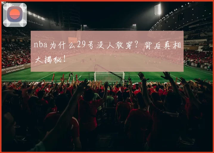 nba为什么29号没人敢穿?背后真相大揭秘!